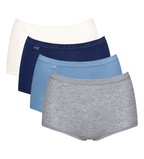 Basic+ Dames Maxi 4-Pack Multiple Colours 17